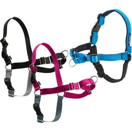 Petsafe Easy Walk Anti-trek Tuig Zwart - M