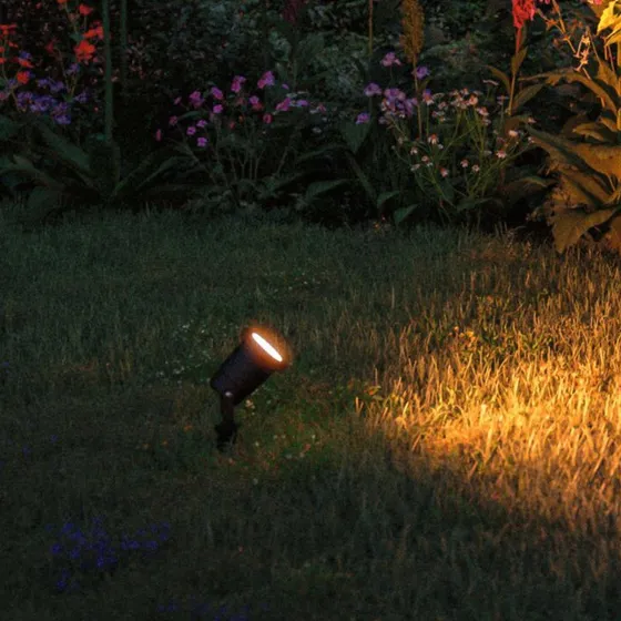 Paulmann 94731 LED Prikspot - Zwart Metaal - Insectvriendelijk