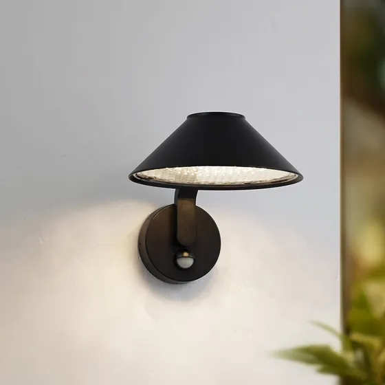 Lindby Capelo LED Buitenwandlamp met Bewegingssensor, Zwart, 20cm