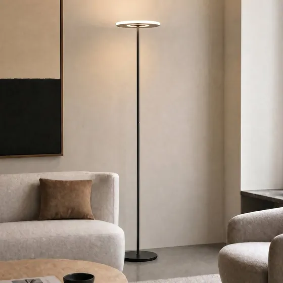 Lucande Raymond LED vloerlamp, 180 cm, zwart, CCT dimbaar