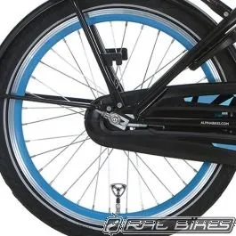 Alpina Achterwiel 20" Remnaaf Sea Green/Zilver