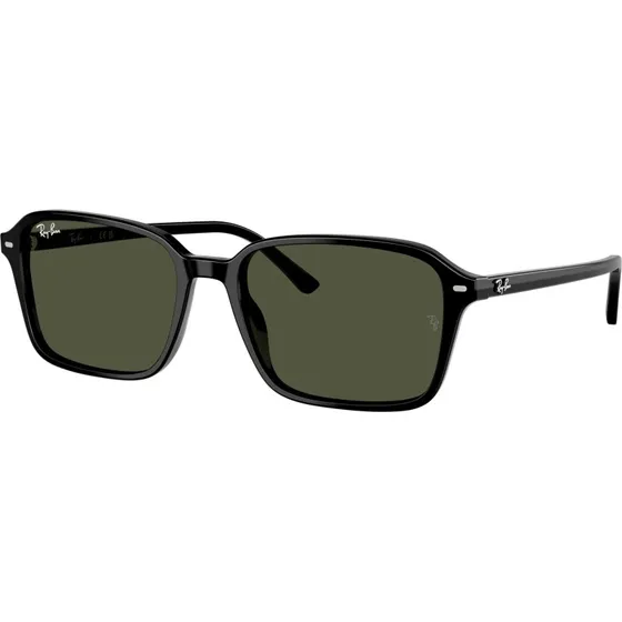 Ray-Ban RB 2231 901/31 Zwart