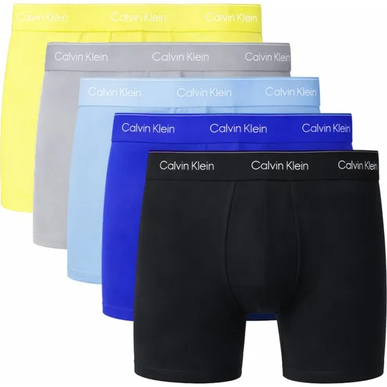 Calvin Klein Icon Boxershort Long 5-Pack Multicolor