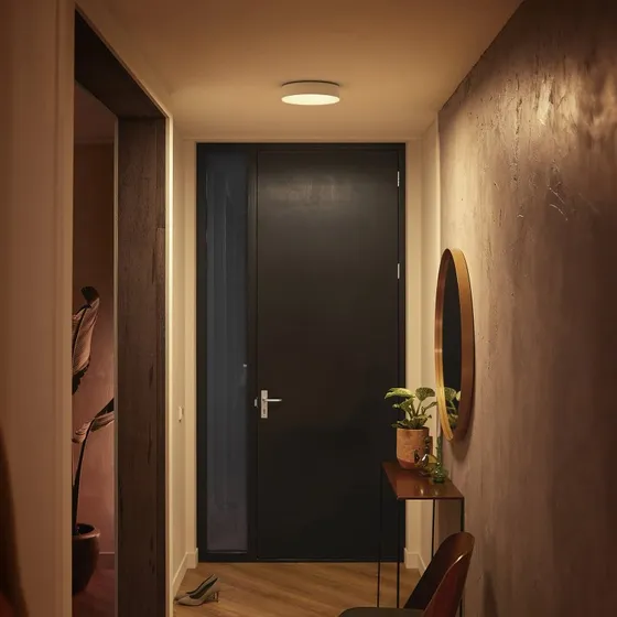 Philips Hue Enrave LED plafondlamp - White Ambiance - 26,1 cm