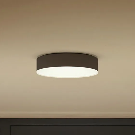 Philips Hue Enrave LED Plafondlamp - Zwart - 26,1cm