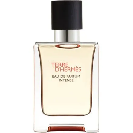 Hermès Terre d'Hermès Eau de Parfum Intense 50 ml (navulbaar)