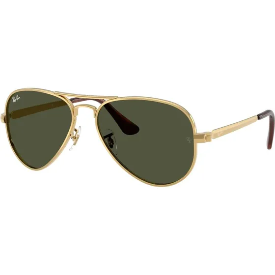 Ray-Ban RB3925 Aviator Max Goud/Groen Polariserend