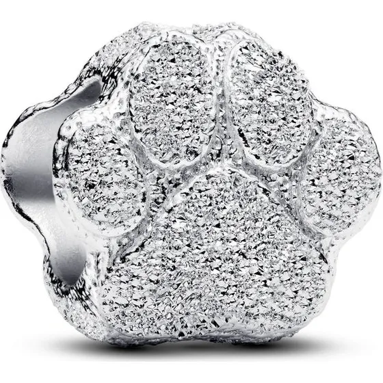 Pandora Textured Paw Mini Charm 794043C00