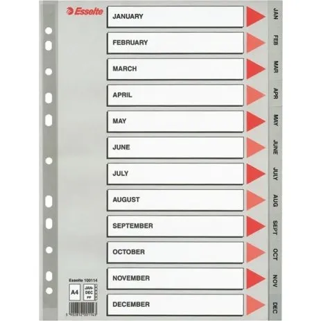 Esselte 100114 A4 Plastic Tabbladen Grijs Jan-Dec 11-gaats