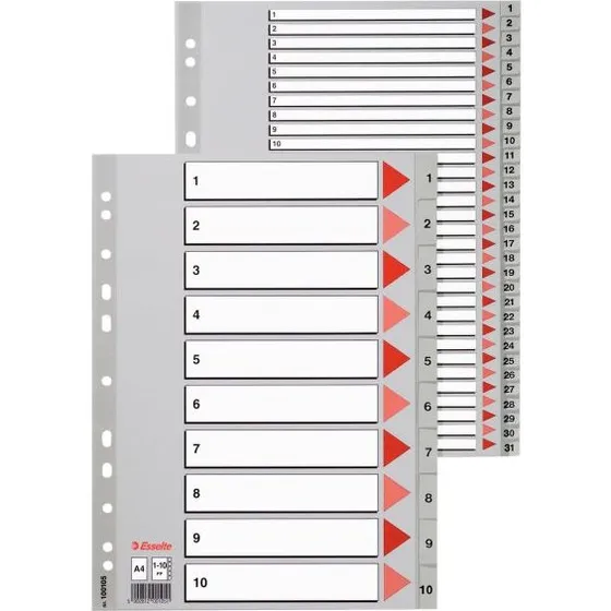 Esselte 100112 A4 Grijs Tabbladen A-Z 20 Stks