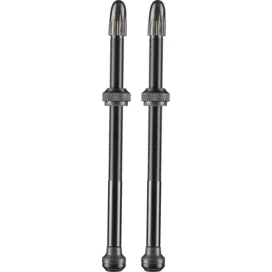 Schwalbe Ventiel Tubeless 60 mm Set (2 stuks)