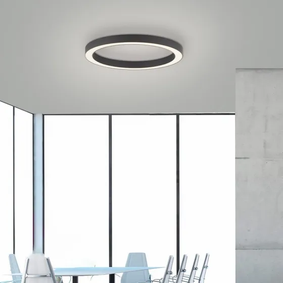 Paul Neuhaus PURE Lines Round LED plafondlamp, Grafiet, Ø 50 cm