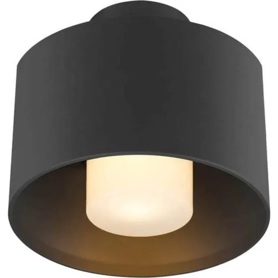 SLV Photoni Cyl Zwarte Plafondlamp - Aluminium - IP65
