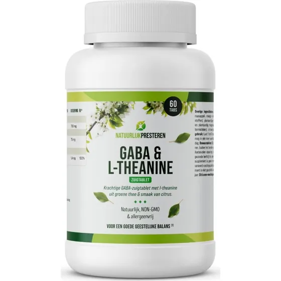 Natuurlijk Presteren GABA met L-theanine 60 smelttabletten