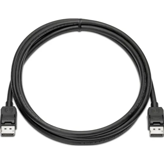 HP DisplayPort Kabel - 2 meter