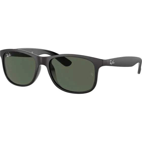 Ray-Ban Andy RB4202 6069/71 Zwart 55-17