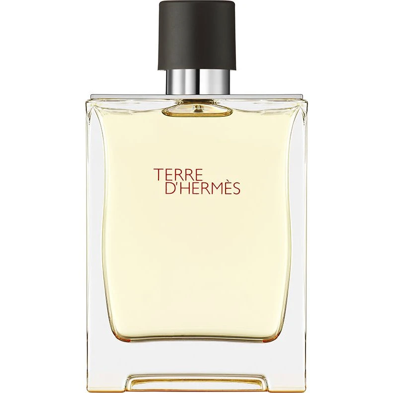 Hermès Terre d'Hermès Eau de Toilette 50 ml