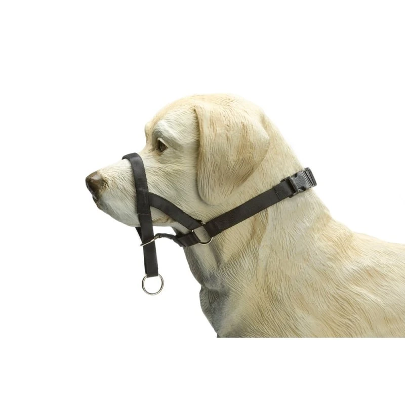 Beeztees Dog Control Hondenhalsband Zwart M