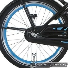 Alpina Achterwiel 20" Remnaaf Sea Green/Zilver