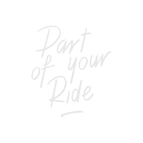 BBB BTL-125 Chain Checker Zilver