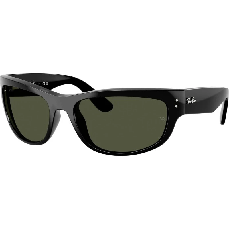 Ray-Ban RB 2289 6826J5 Polished Green G-15