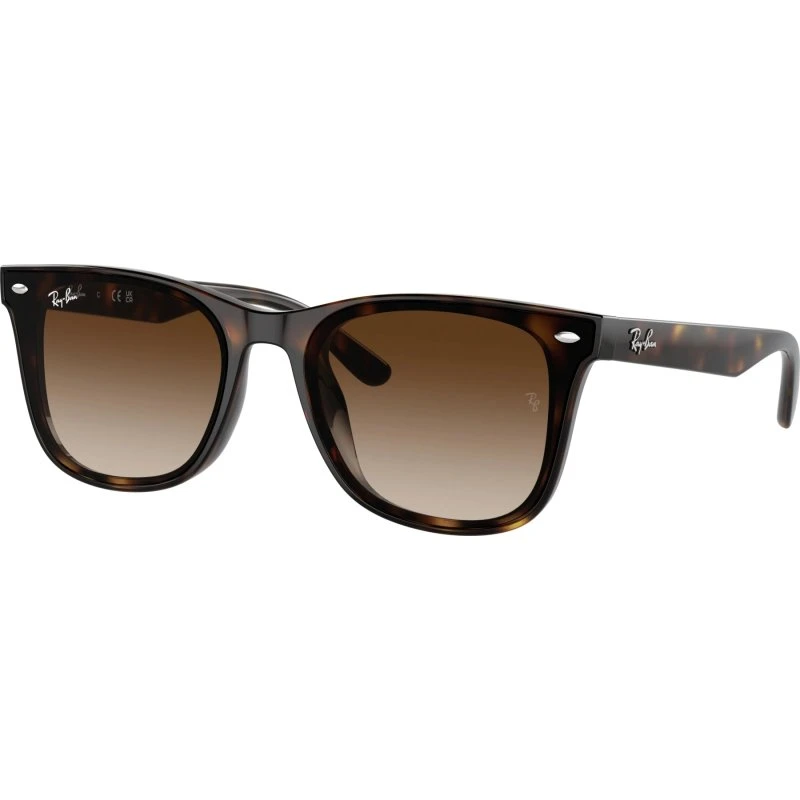 Ray-Ban RB4340 Wayfarer Ease Havana Gradient Brown 50