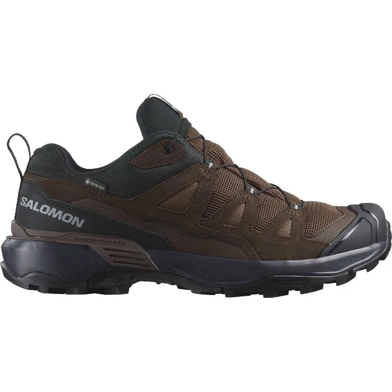 Salomon X Ultra 360 LTR GTX Dark Earth/Delicioso/Sharkskin 8.5