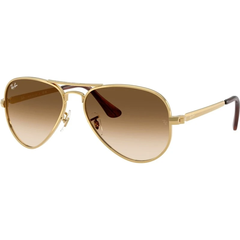 Ray-Ban RB3925 Aviator Max 001/51 Goud/Bruin 62-16