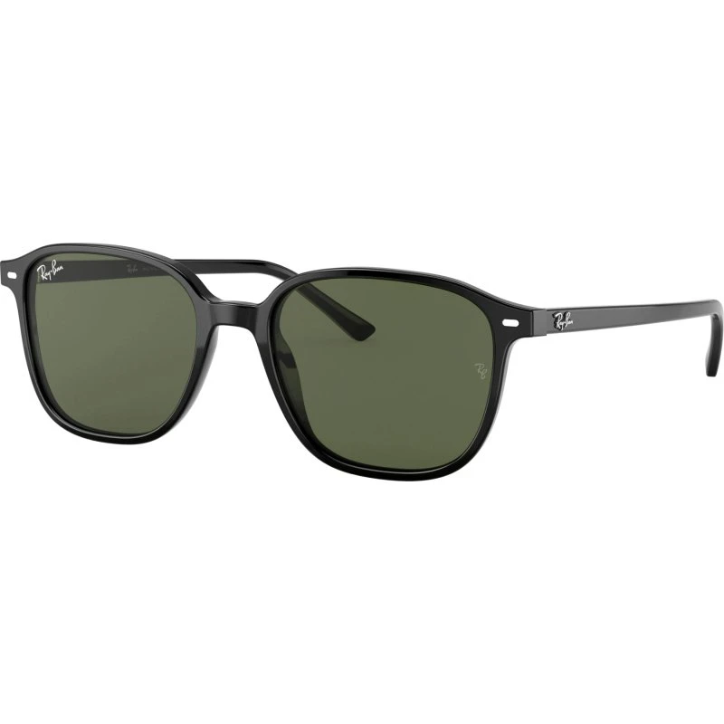 Ray-Ban Leonard RB2193 901/31 Zwart 53-18