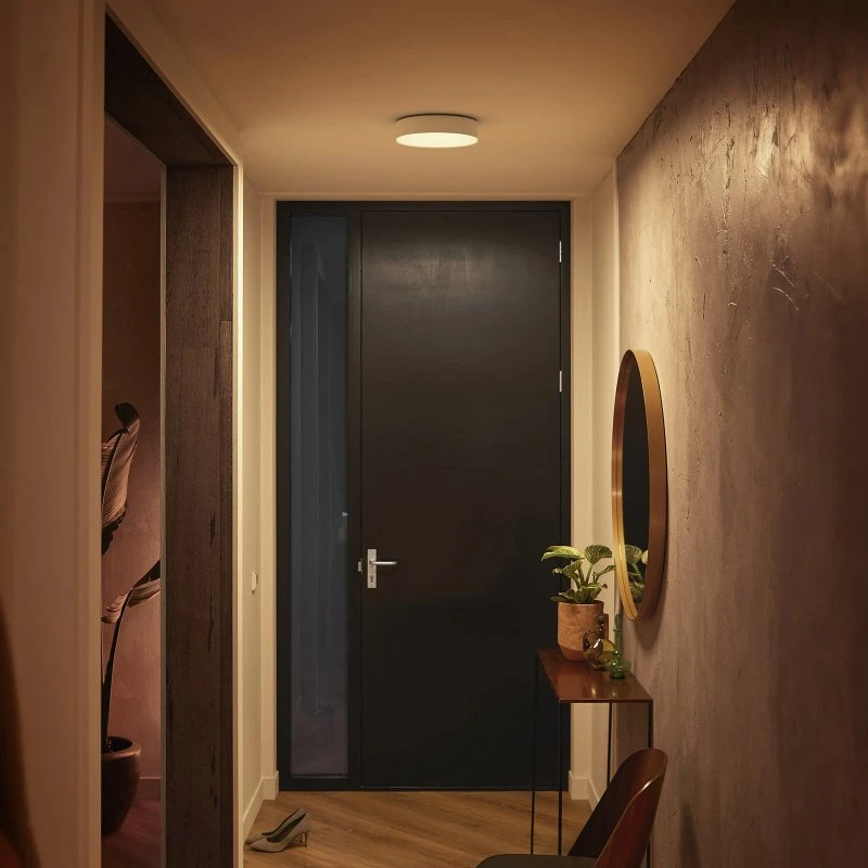 Philips Hue Enrave LED plafondlamp - White Ambiance - 26,1 cm