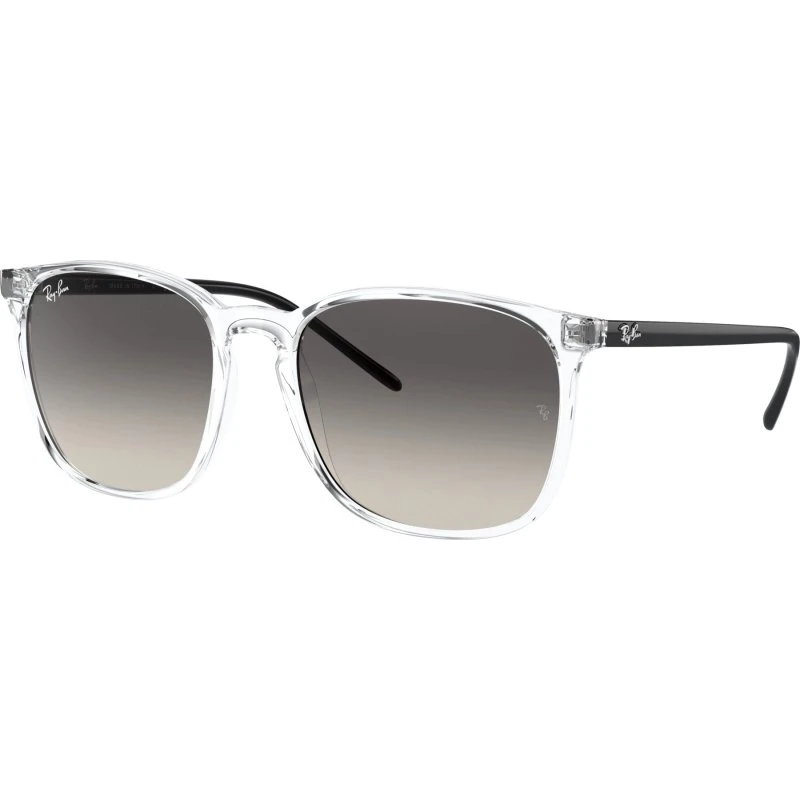 Ray-Ban RB4387 Polished Black Green G-15 56