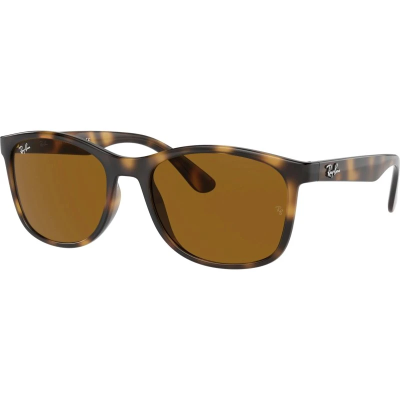Ray-Ban RB4374 603948 Zonnebril Zwart op Transparant