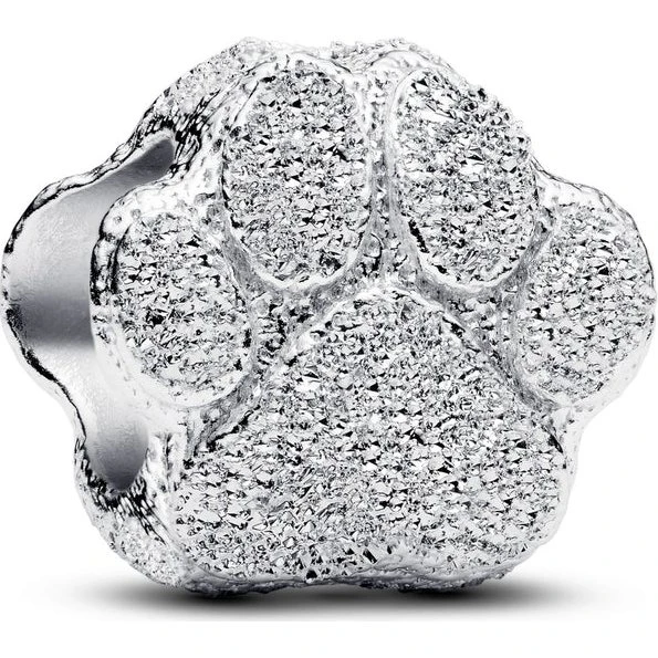 Pandora Textured Paw Mini Charm 794043C00
