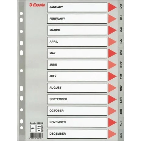 Esselte 100114 A4 Plastic Tabbladen Grijs Jan-Dec 11-gaats