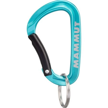 Mammut Mini Carabiner Classic Keylock S zwart