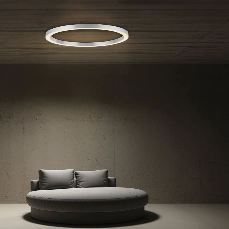 Paul Neuhaus PURE Lines Round LED plafondlamp, Ø 70 cm, Zilver
