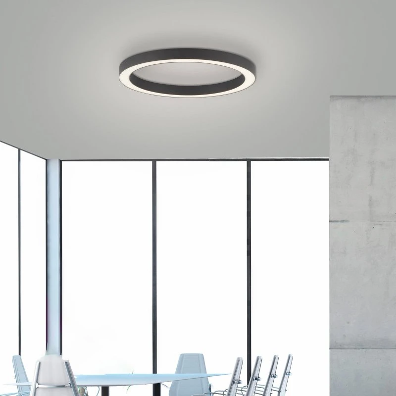 Paul Neuhaus PURE Lines Round LED plafondlamp, Grafiet, Ø 50 cm