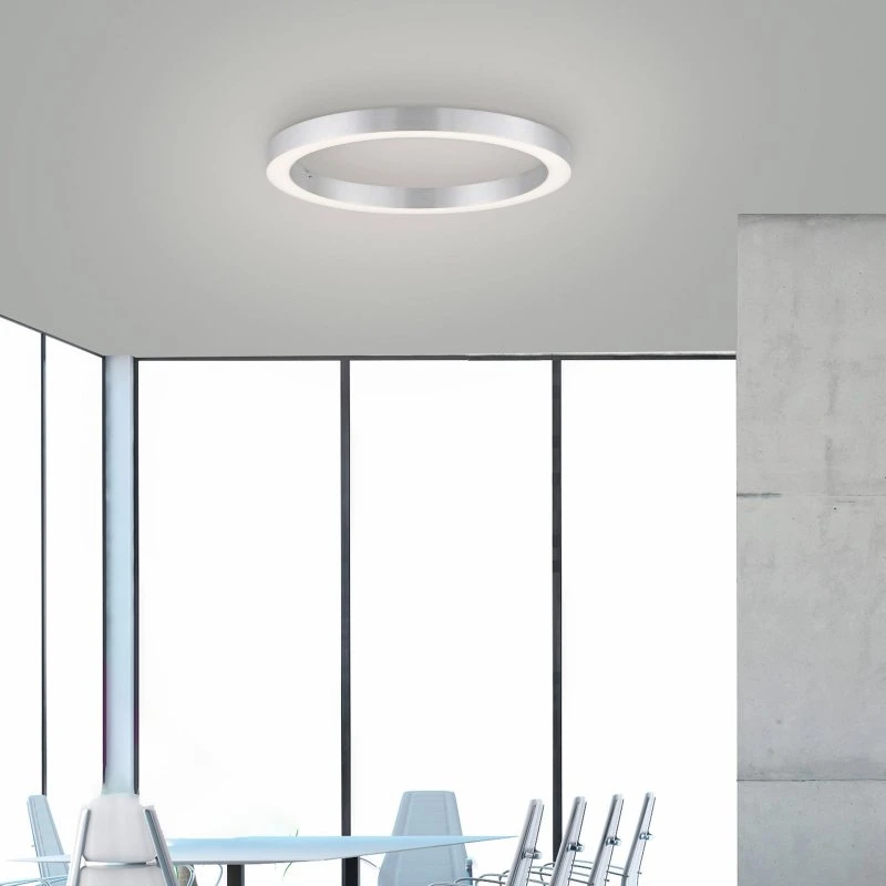 Paul Neuhaus PURE Lines Round LED Plafondlamp - Ø 50 cm - Zilver